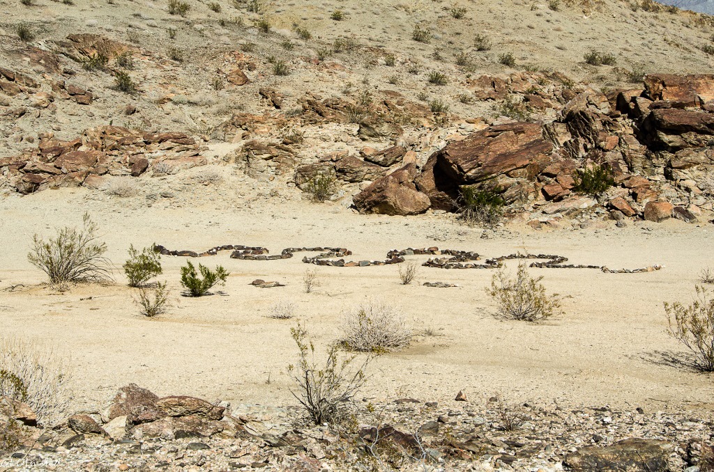 Rock snake Coyote Mountain Peg Leg BLM Anza-Borrego Desert State Park California