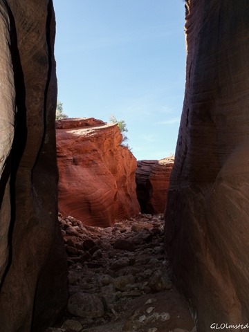 Wire Pass slot canyon Grand Staircase Escalante National Monument Utah
