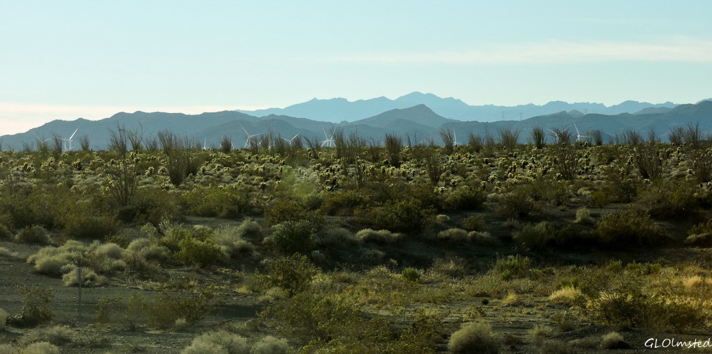 Wind farm as leaving Anza-Borrego Desert State Park California