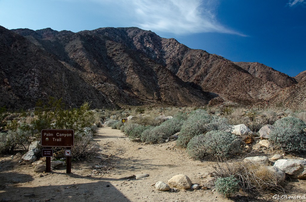 Palm Canyon trail head Anza-Borrego Desert State Park California