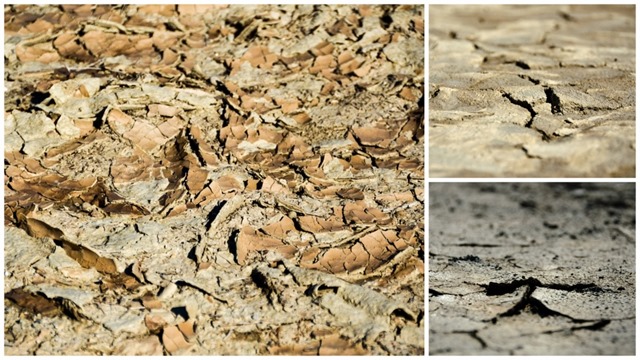 Cracked mud Clark Dry Lake Anza-Borrego Desert State Park California