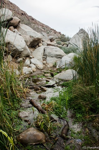 Stream crossing Palm Canyon trail Anza-Borrego Desert State Park California