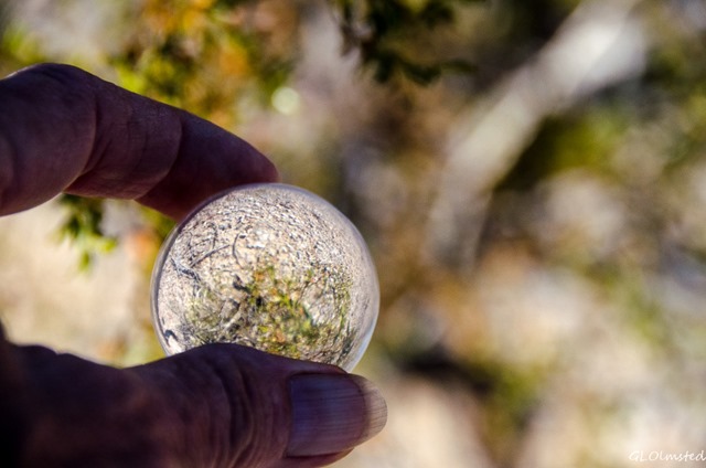 Creosote thru crystal ball Dome Rock Quartzsite Arizona