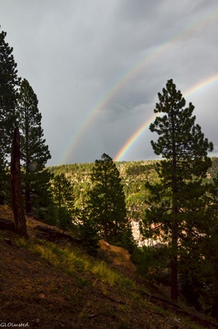 Rainbow over Roaring Springs Canyon North Rim Grand Canyon National Park Arizona
