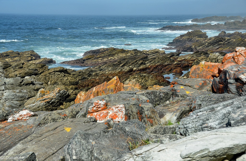 Rocky shoreline & Indian Ocean view Waterfall trail Tsitsikamma National Park South Africa
