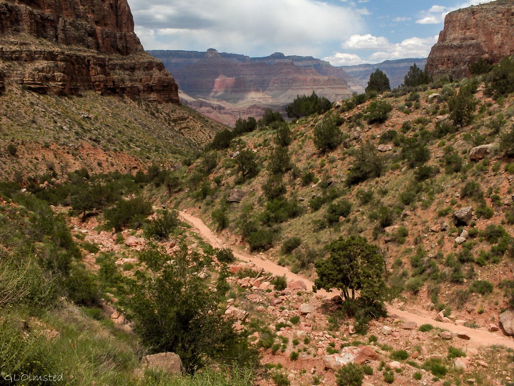 North rim Bright Angel trail Grand Canyon National Park Arizona