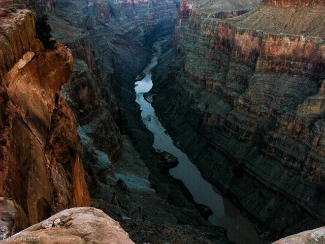 Colorado River up stream from Tuweep Grand Canyon National Park Arizona