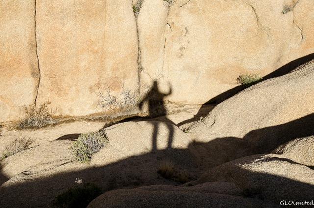 Gaelyn's shadow against boulders Jumbo Rocks campground Joshua Tree National Park California