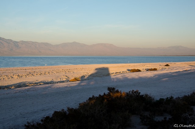 Morning light & truckcamper shadow Corvina Beach Salton Sea SRA California