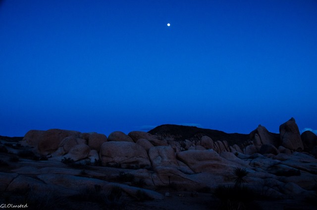 Moon over boulders White Tank campground Joshua Tree National Park California