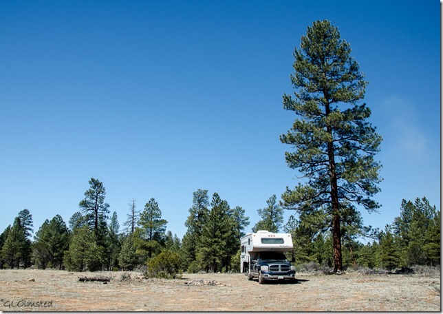 Truckcamper Kaibab National Forest Arizona