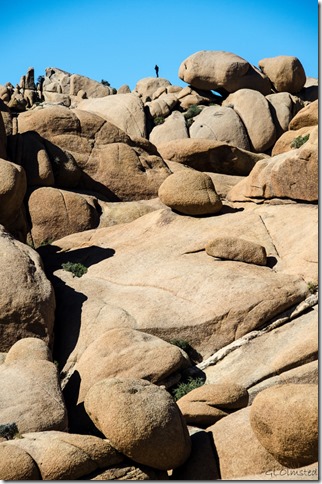 Person on boulders Joshua Tree National Park California