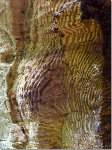 Sandstone rock pattern at Cliff Spring North Rim Grand Canyon National Park Arizona