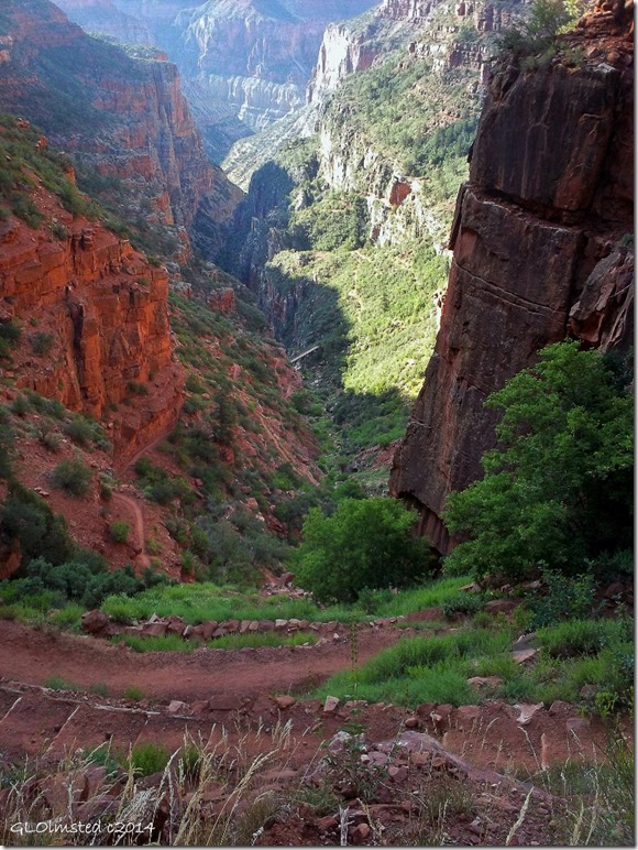 Roaring Springs canyon North Kaibab Trail North Rim Grand Canyon National Park Arizona