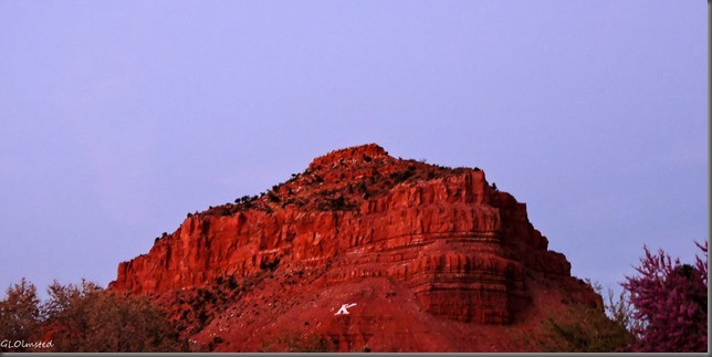 Kanab K on red cliff Utah