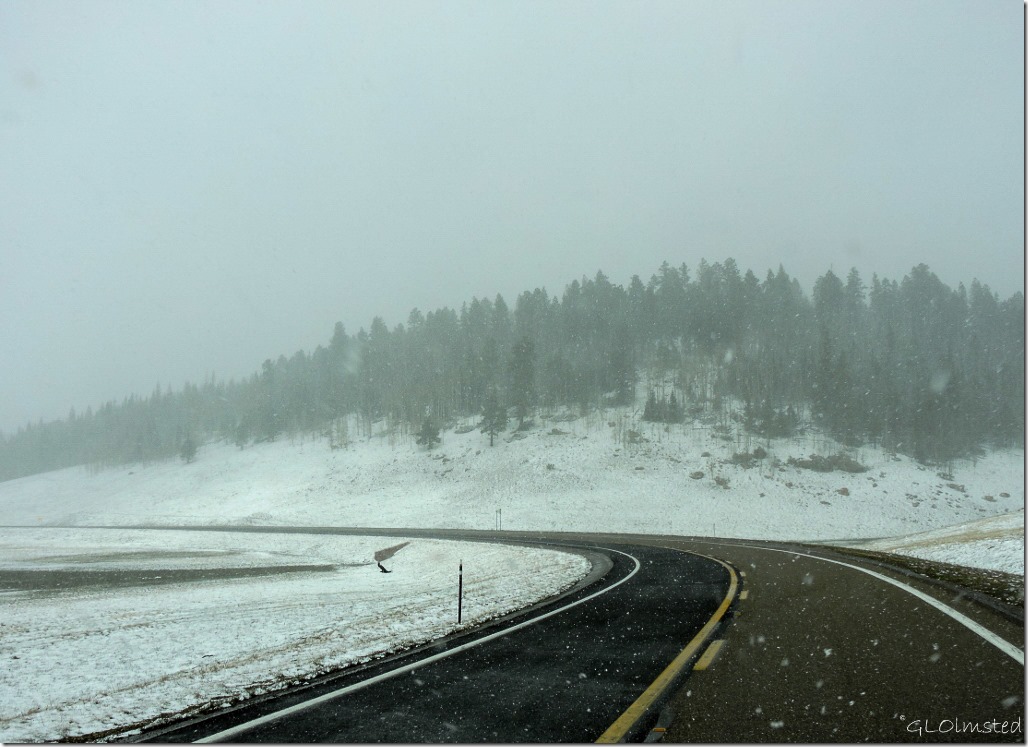 Snowing SR67 N Kaibab National Forest Arizona