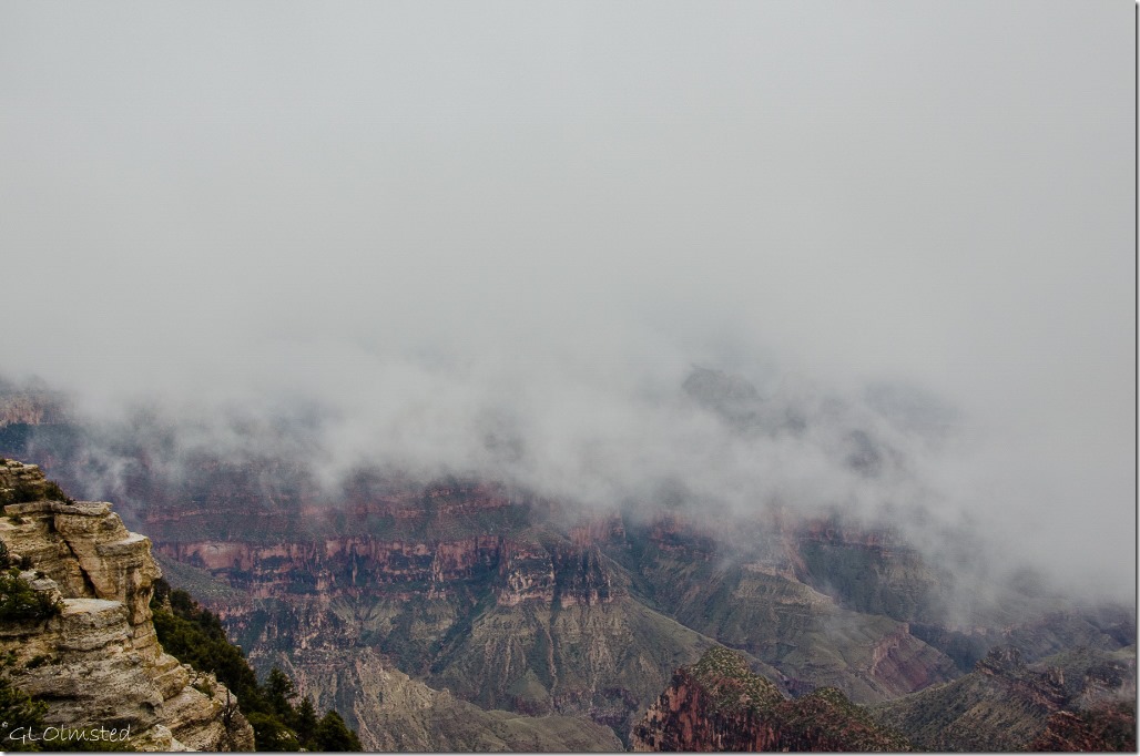 Canyon & cloud North Rim Grand Canyon National Park Arizona