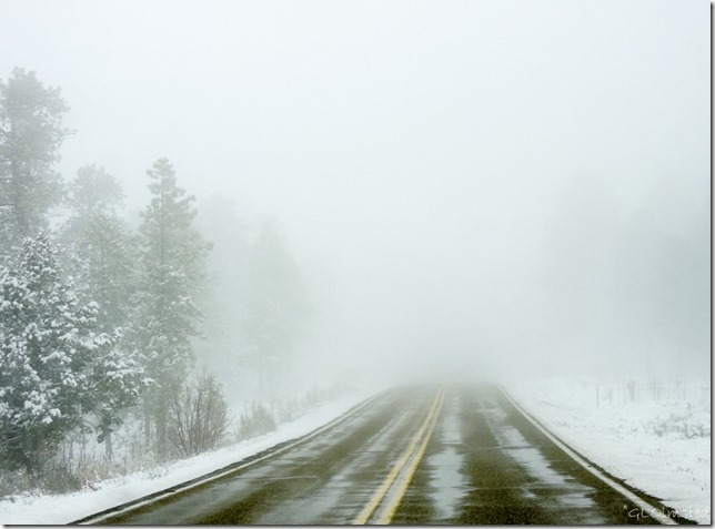 Snow & white out SR89A N Kaibab National Forest Arizona