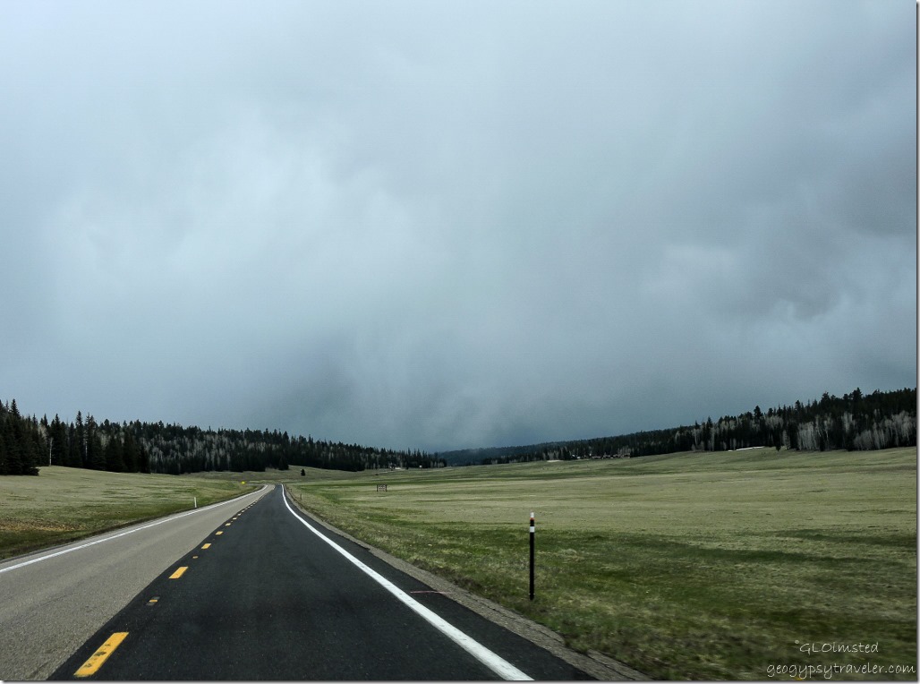 Rain clouds over meadows SR67 S Kaibab National Forest Arizona