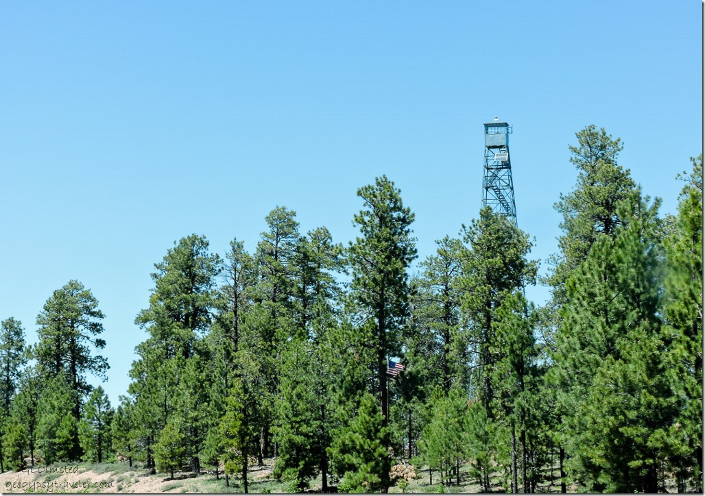 Jacob Lake Fire tower SR67 Kaibab National Forest Arizona