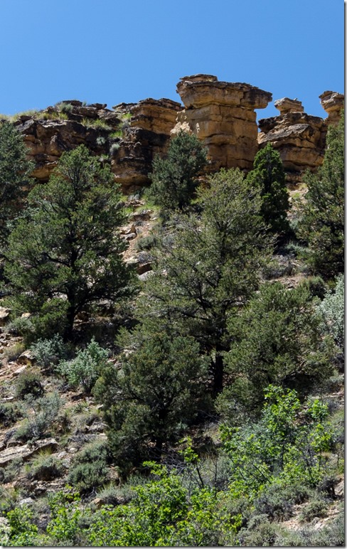 Rocky cliff top Snake Gulch trail Kaibab National Forest Arizona