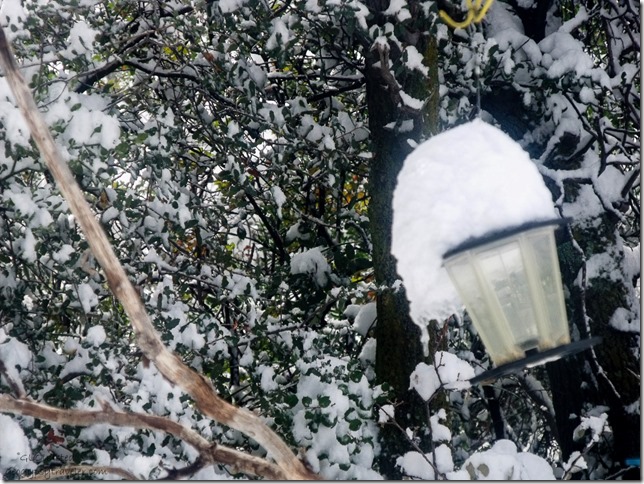 Snow on bird feeder Yarnell Arizona