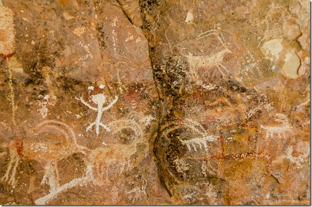 Petroglyphs Snake Gulch trail Kaibab National Forest Arizona