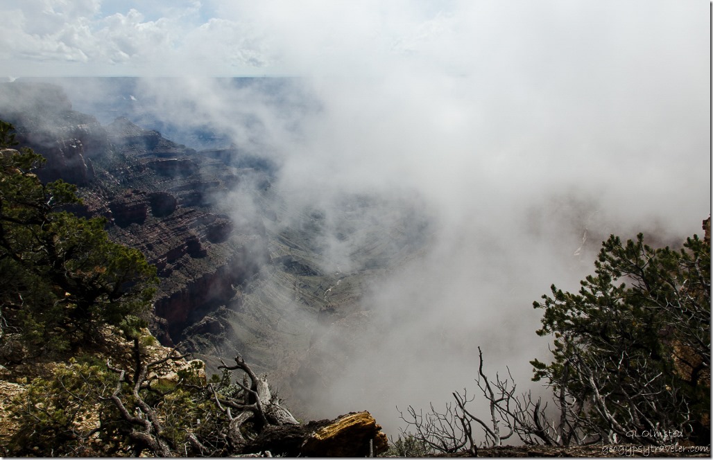 Inversion in canyon Cape Royal North Rim Grand Canyon National Park Arizona