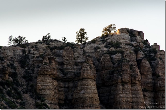 Last light on cliff top Snake Gulch trailhead Kaibab National Forest Arizona