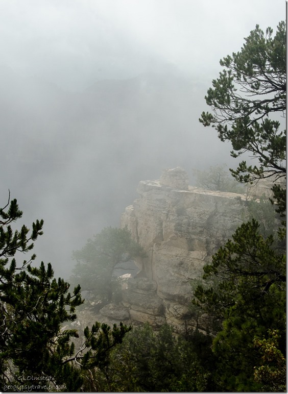 Foggy canyon from Transept trail North Rim Grand Canyon National Park Arizona