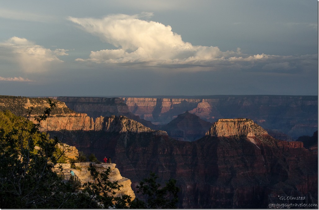 Late light in canyon from Lodge North Rim Grand Canyon National Park Arizona
