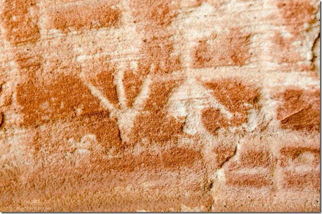 Possible petroglyphs Kanab Utah