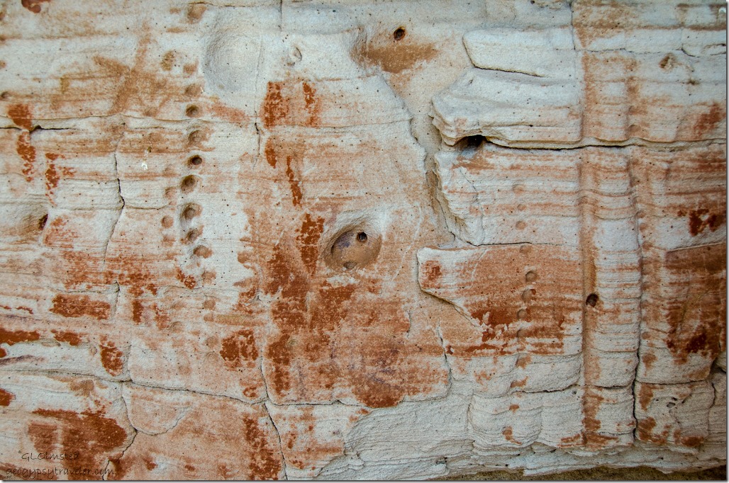 Possible petroglyphs Kanab Utah
