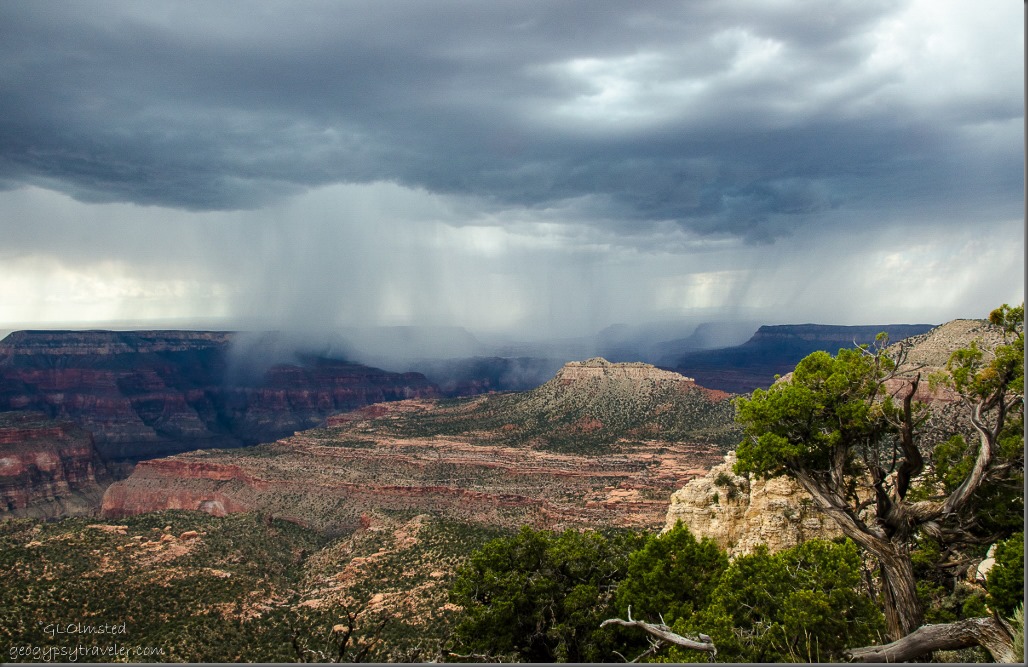 Storm over canyon Crazy Jug Point Kaibab National Forest Arizona