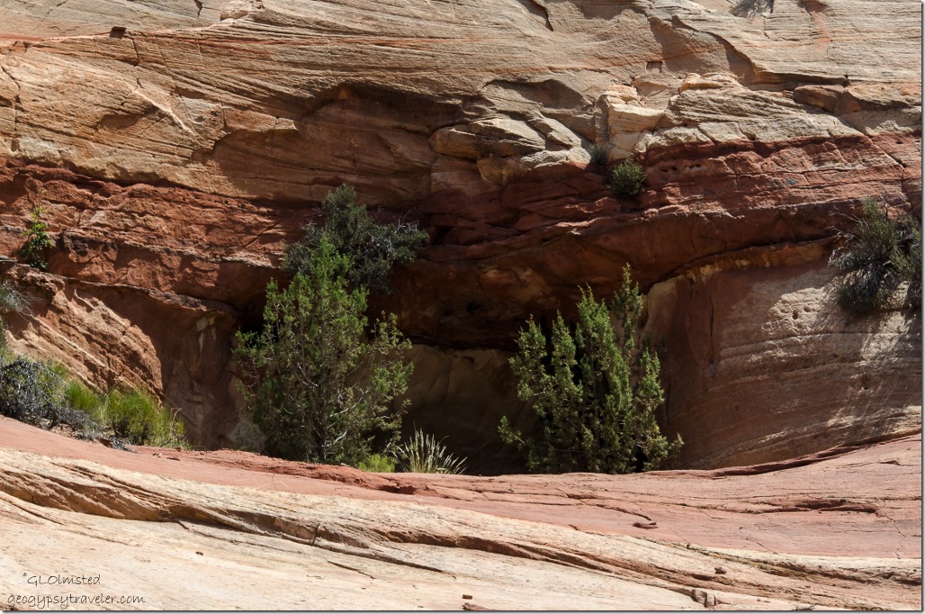 Alcove in Navajo sandstone Kanab Utah