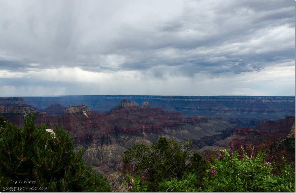 Stormy sky over canyon North Rim Grand Canyon National Park Arizona