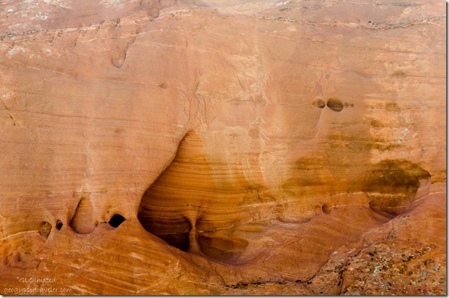 Erosion on sandstone walls Upper Buckskin Gulch Paria Canyon/Vermilion Cliffs Wilderness area Utah