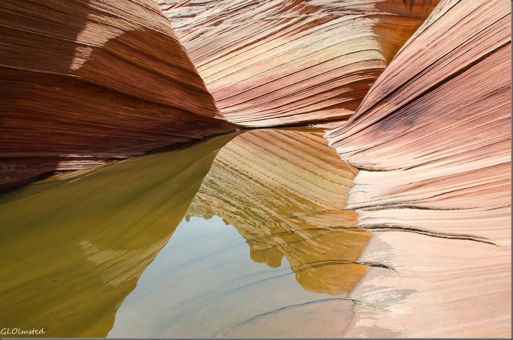 Water reflection Paria Canyon-Vermilion Cliffs Wilderness Arizona