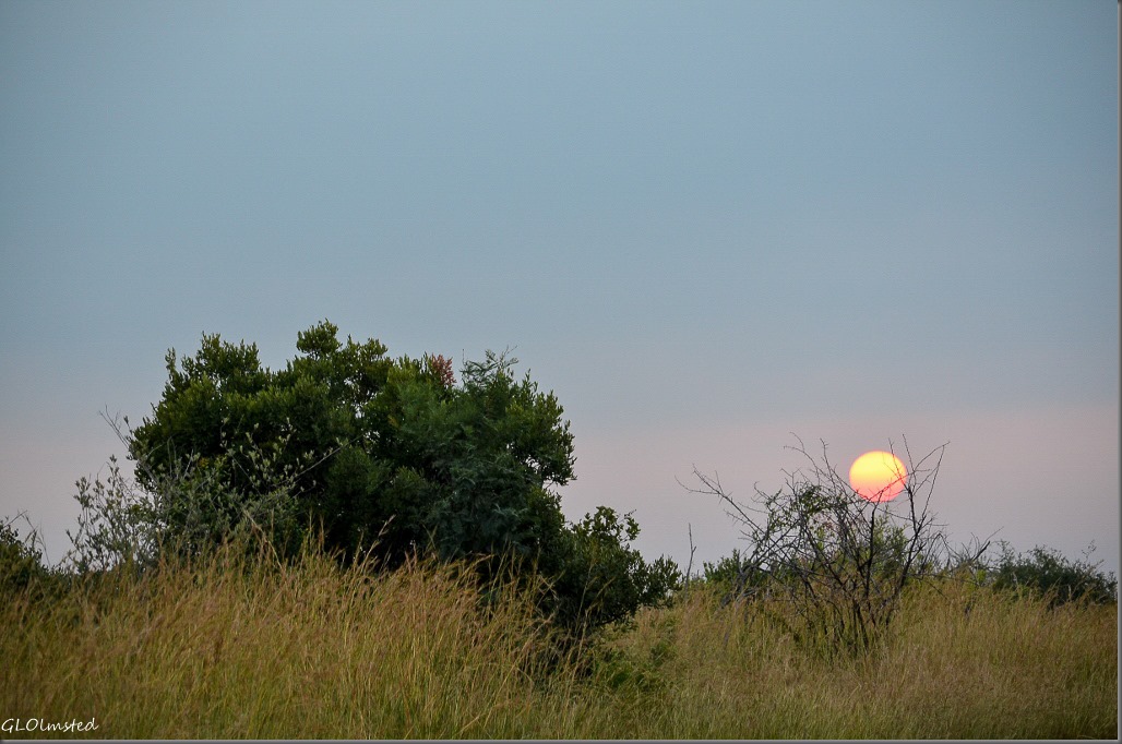 Sunrise Pilanesburg Game Reserve South Africa
