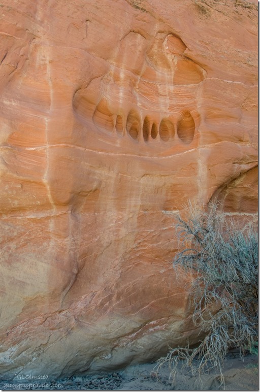 Erosion on sandstone walls Upper Buckskin Gulch Paria Canyon/Vermilion Cliffs Wilderness area Utah