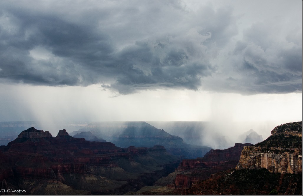 Rain in the canyon North Rim Grand Canyon National Park Arizona