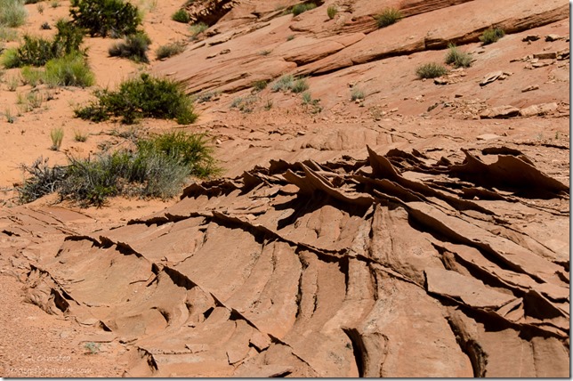 Sandstone fins Upper Buckskin Gulch Paria Canyon/Vermilion Cliffs Wilderness area Utah