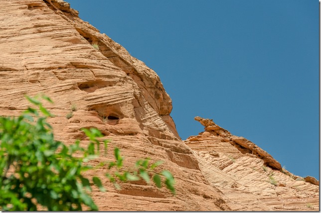 Sandstone formation Upper Buckskin Gulch Paria Canyon/Vermilion Cliffs Wilderness area Utah