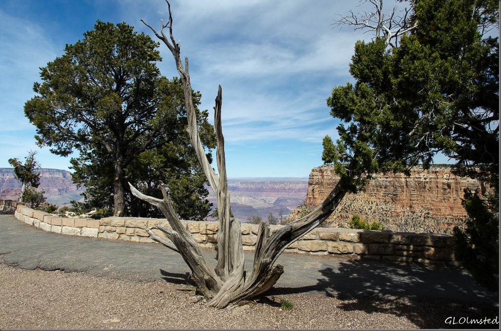 Moran Point South Rim Grand Canyon National Park Arizona