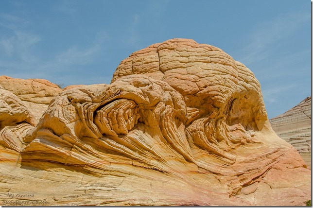 Sandstone mound above The Wave Paria Canyon-Vermilion Cliffs Wilderness Arizona