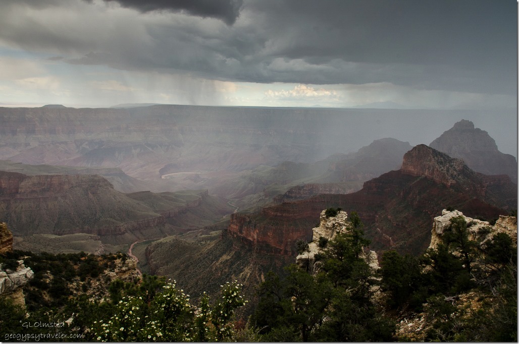 Rain in canyon & Colorado River from Walhalla overlook North Rim Grand Canyon National Park Arizona