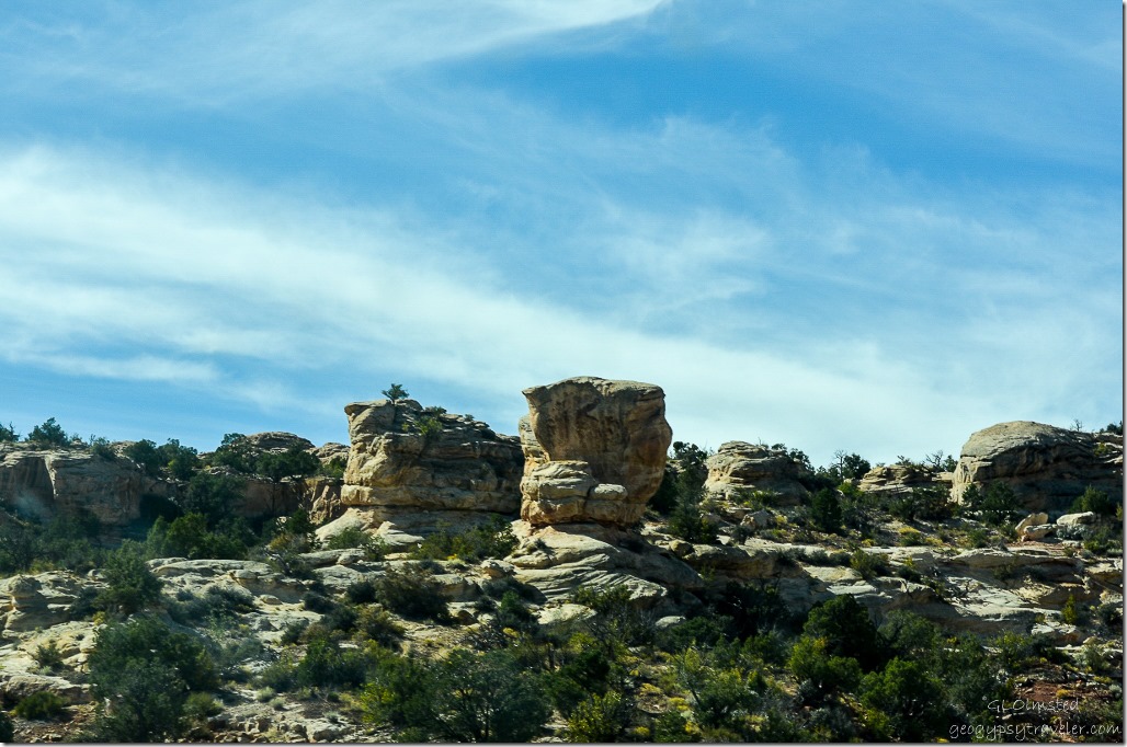Eastern Cedar Mesa Utah