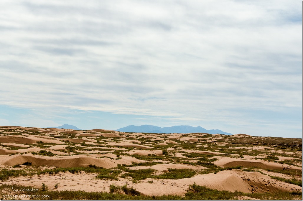Sand dunes & Henry Mountains San Rafael desert Utah