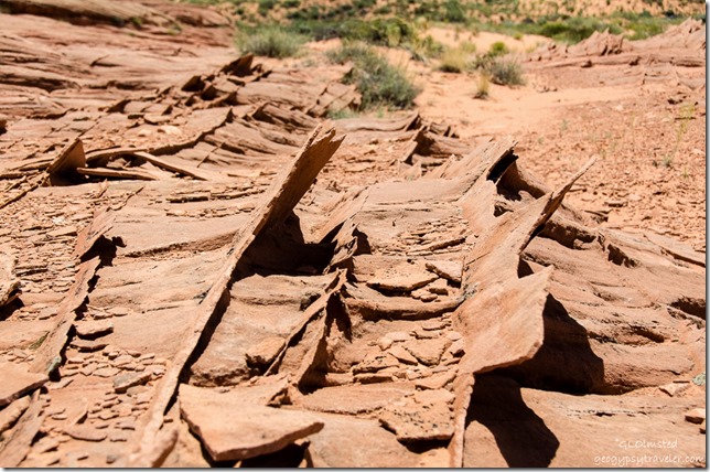 Sandstone fins Ed Meyer's Secret off Upper Buckskin Gulch Paria Canyon-Vermilion Cliffs Wilderness Utah