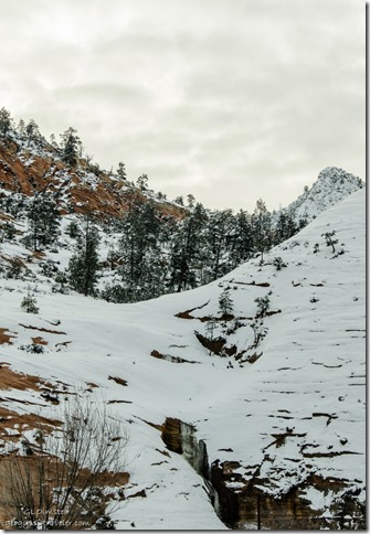 Frozen spring water Zion National Park SR9 west Utah